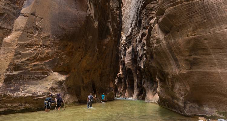 Hikers wade through the narrow river gorge between towering sandstone walls in Zion National Park.
