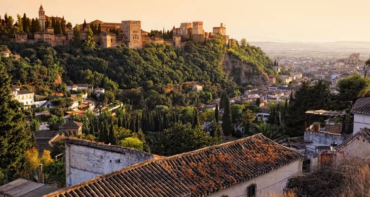 Uitzicht op het Alhambra paleizencomplex op een heuvel met groen en stadsgezicht op de achtergrond.