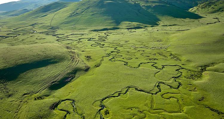 Grüne Hügel und ein sich schlängelnder Fluss in einer ländlichen Landschaft.