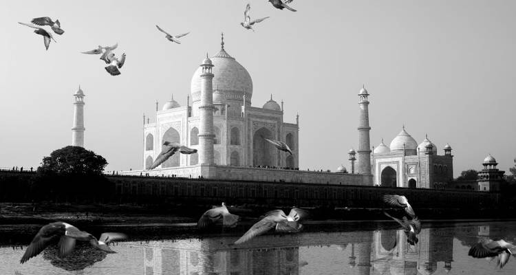 Imagen en blanco y negro del Taj Mahal con pájaros volando.