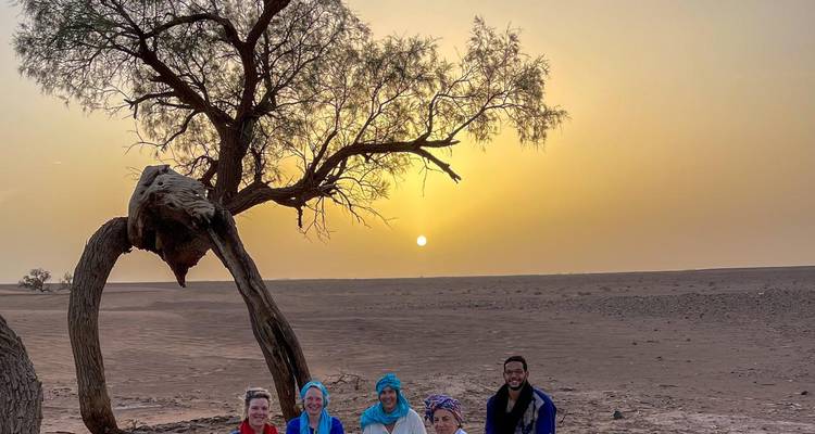 Travellers sit beneath a solitary desert tree at sunrise with wide barren plains stretching behind.