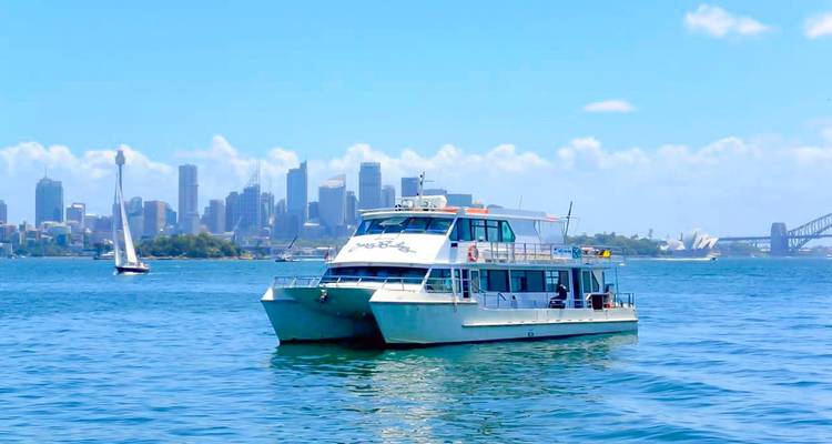 Bateaux dans un port avec horizon urbain et pont en arrière-plan.
