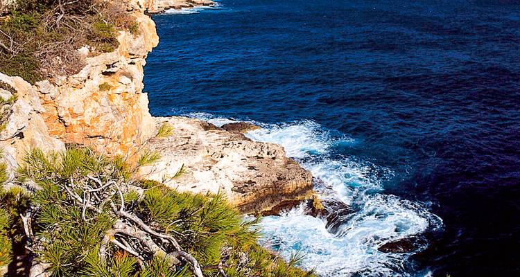 Vue de falaise avec vagues océaniques et verdure.