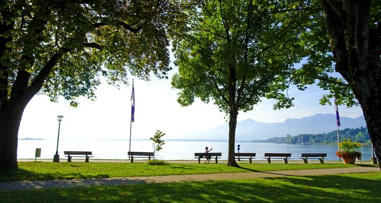 Parque sombreado junto al lago con bancos frente a aguas tranquilas y montañas distantes