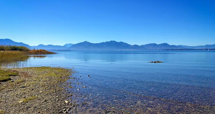 Una vista de un lago tranquilo con una orilla rocosa y montañas en la distancia.