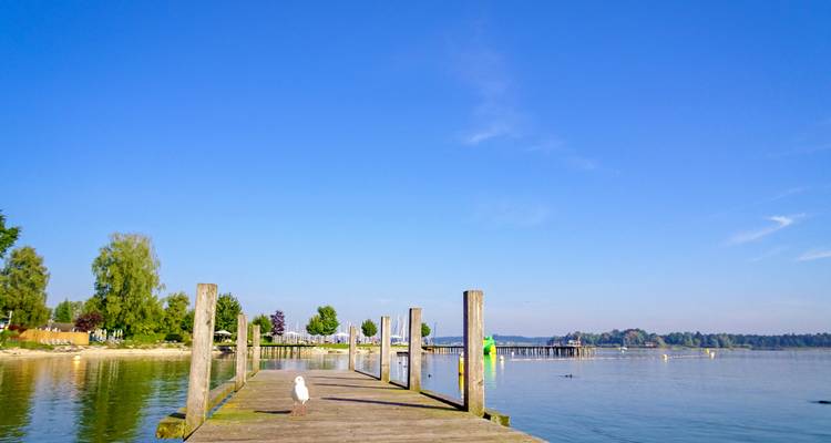 Una vista de un muelle que se extiende sobre un lago tranquilo con árboles al fondo.