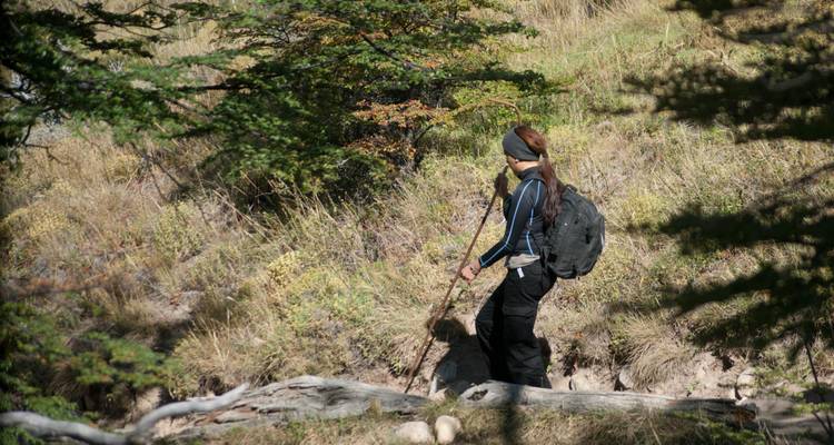 Femme faisant de la randonnée à travers une zone boisée.