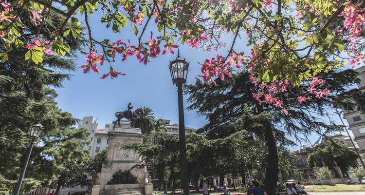 Parc avec statue et arbres en fleurs à Montevideo.