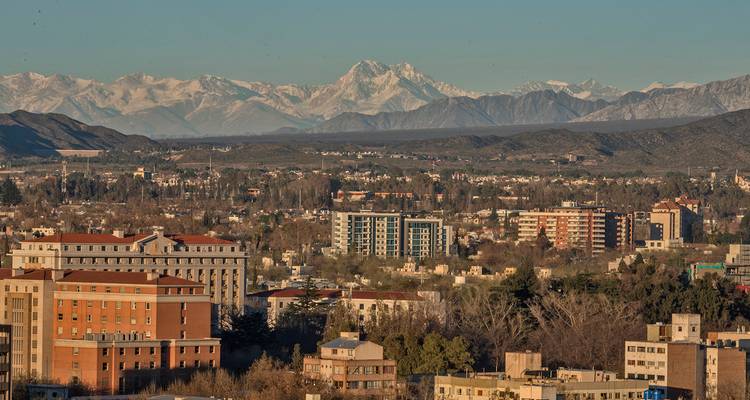 Vue de la ville de Mendoza avec les montagnes en arrière-plan.