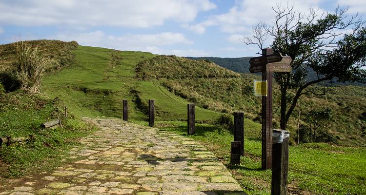 Un sentier de pierre à travers un paysage herbeux avec des panneaux indicateurs.