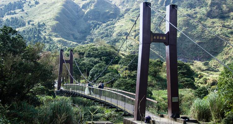 Un pont suspendu entouré d'une végétation luxuriante.