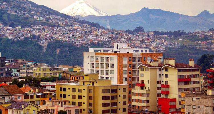 Stadtlandschaft mit schneebedecktem Berg im Hintergrund.