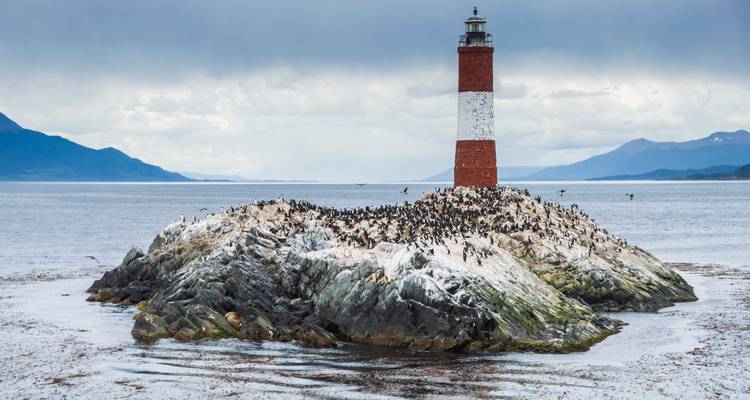 Phare sur une île rocheuse avec de nombreux oiseaux.