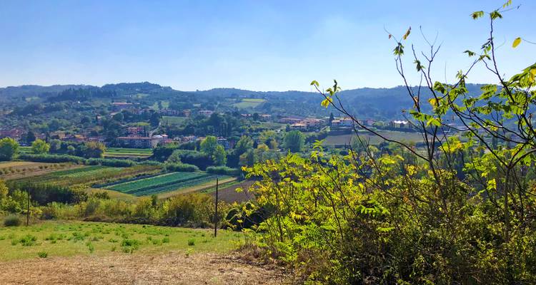 Paysage de campagne avec des champs et une petite ville au loin.