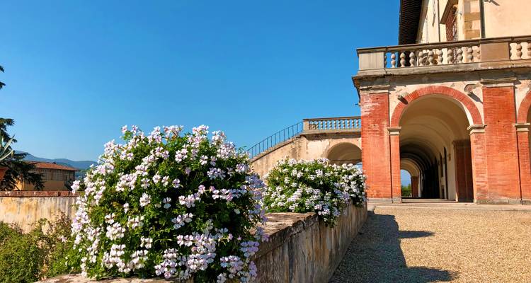 Bâtiment historique avec des arches et des buissons fleuris.