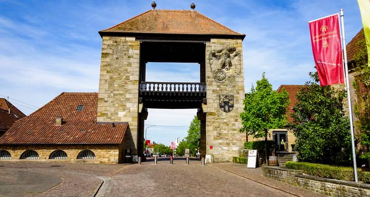 Portail historique en pierre avec armoiries et drapeaux.