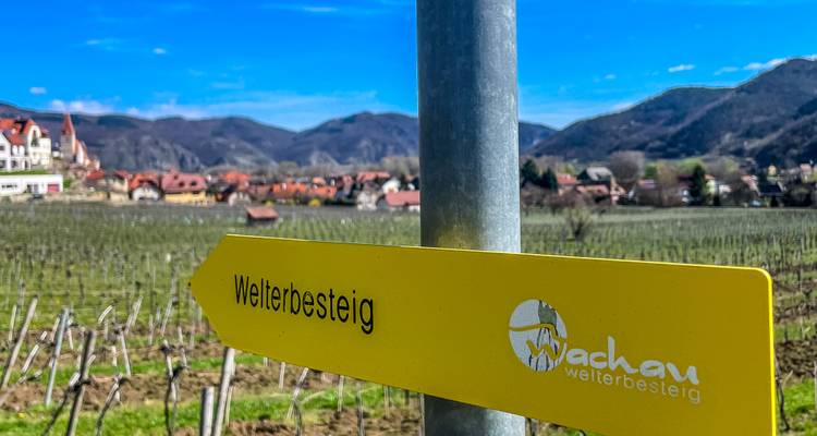 Chemin avec vue sur vignoble et panneau indicateur au premier plan.