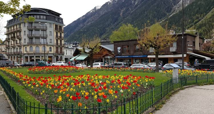 Ville avec des fleurs colorées dans un parc et un arrière-plan montagneux.