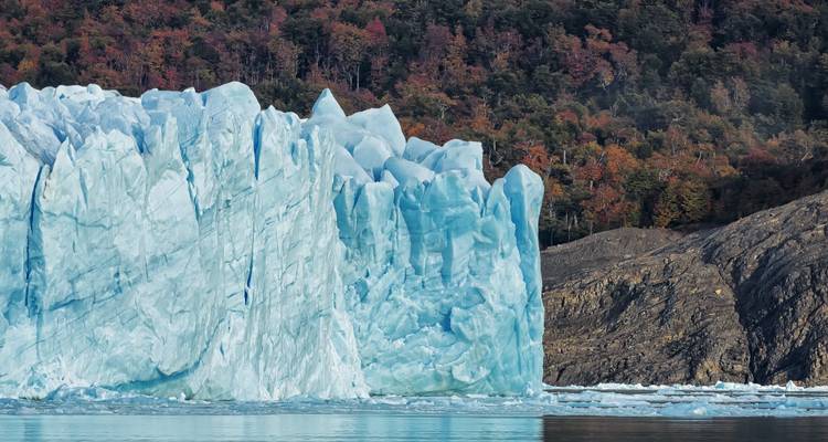Un glacier avec un arrière-plan forestier.