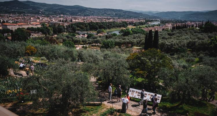 View over olive groves and the Arno River valley with visitors observing information boards