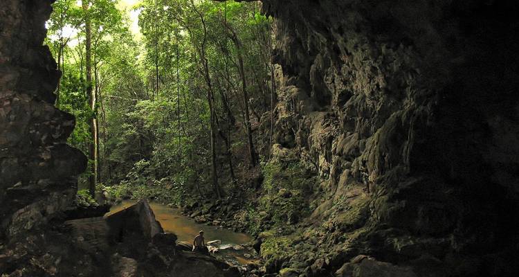 Une personne explorant une grande grotte entourée d'une forêt luxuriante.