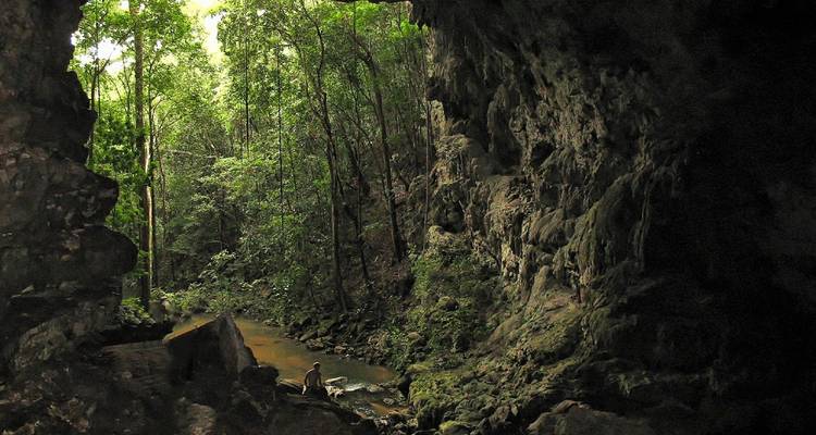 Une jungle verdoyante et luxuriante vue de l'intérieur d'une grotte rocheuse avec un petit ruisseau et un explorateur solitaire près de l'eau.