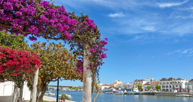 Zone du front de mer avec des fleurs et des bateaux dans le canal.