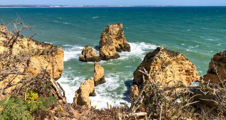 Littoral accidenté avec des formations rocheuses acérées dans la mer.