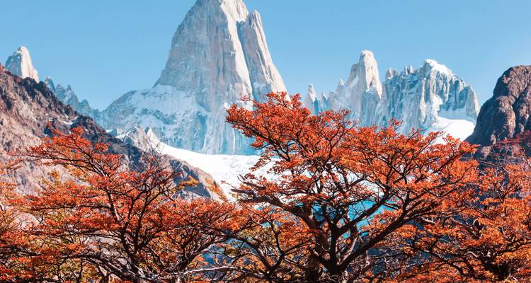 Feuillage rouge vibrant avec des sommets montagneux majestueux enneigés.