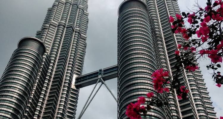 Vue en contre-plongée des tours jumelles Petronas encadrées par des bougainvilliers roses sur un ciel nuageux.