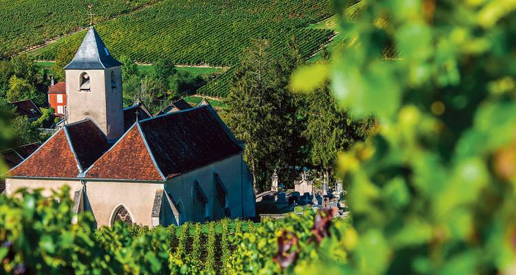 Toit d'église de village entouré de rangées de vignes feuillues sous un soleil éclatant.