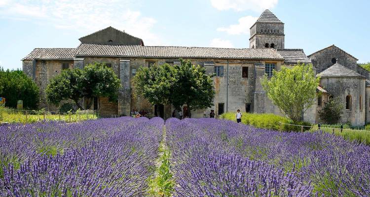 Historic abbey with blooming lavender rows stretching toward the visitor path.