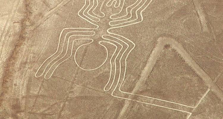 Vue aérienne rapprochée de la figure de l'araignée des Lignes de Nazca.