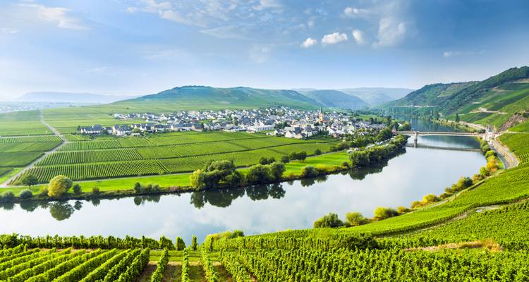 Weitblick über die grünen Weinberge des Moseltals und den spiegelnden Fluss unter einem hellen Himmel.