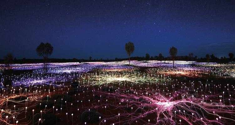 Installation artistique Field of Lights la nuit avec des ampoules lumineuses.