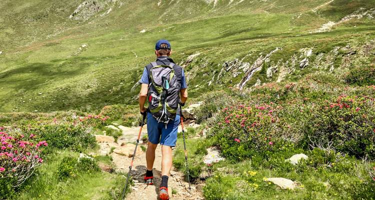 Wandelaar met stokken op een pad omringd door groene heuvels en wilde bloemen.