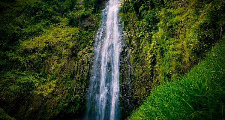 Una cascada alta y estrecha cayendo por una ladera de montaña exuberante y verde.