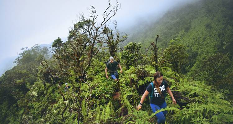 Wandelaars klauteren een weelderige, met mist bedekte bergkam op in een tropisch regenwoud.