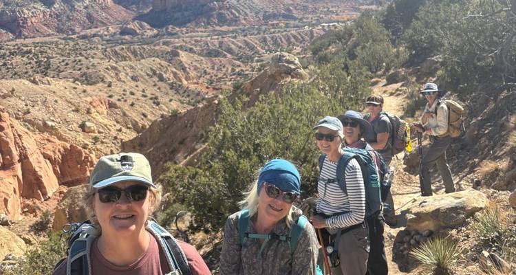 Un grupo de excursionistas en un sendero con estructuras de troncos y vegetación.