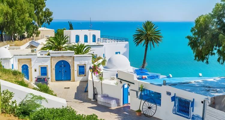 Edificios blancos con puertas azules y océano al fondo, rodeados de exuberante vegetación.