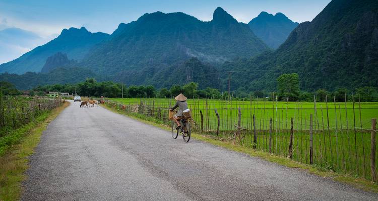 Cycliste portant un chapeau conique roule sur une route rurale bordée de rizières et de montagnes karstiques spectaculaires