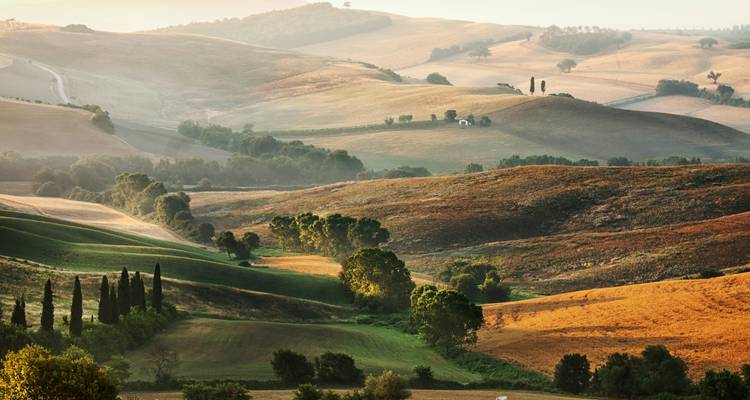 Glooiend Toscaans landschap met cipressen en lappendekenakkers in warm licht.