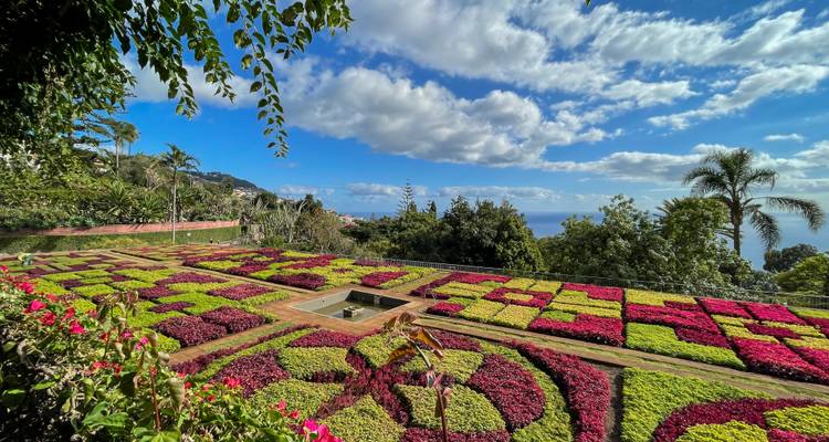 Jardin coloré avec motifs géométriques et vue sur l'océan.