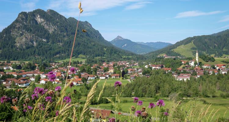 Village idyllique avec des montagnes vallonnées et un premier plan floral vibrant.