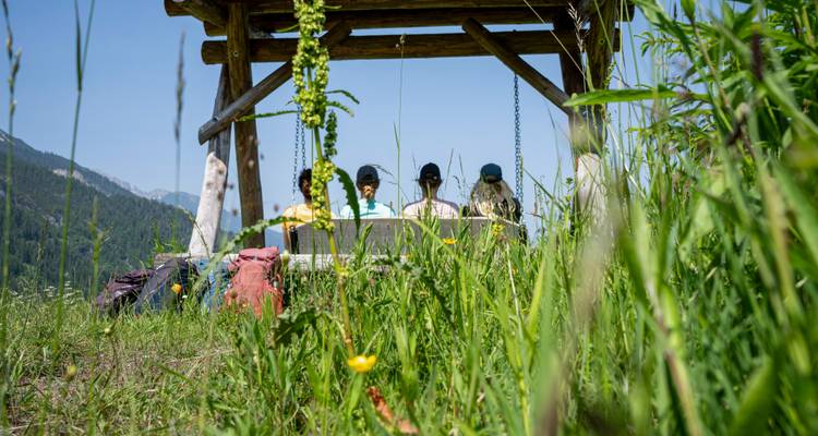 Un grupo de personas sentadas en un banco entre hierba alta, dándole la espalda a la cámara.