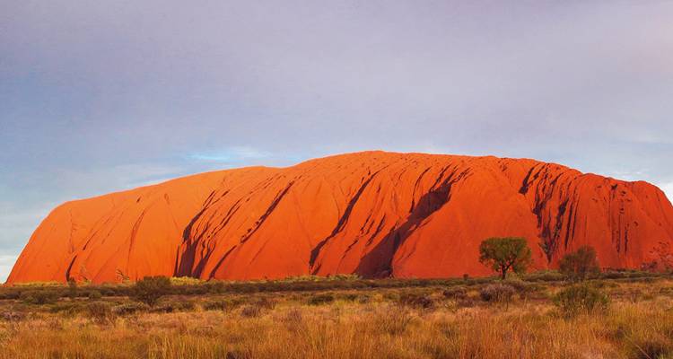 Iconische rode monoliet van Uluru die boven dor grasland uittorent onder een pastelkleurige hemel.
