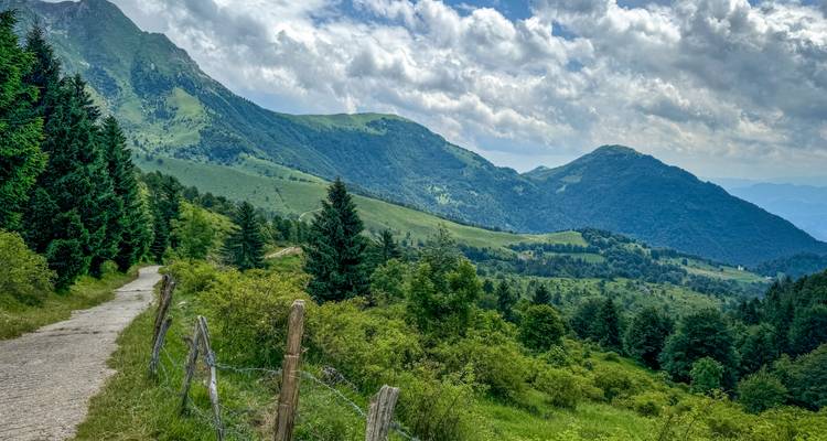 Ein Pfad an einem bewaldeten Hügel, der in die Berge unter einem teilweise bewölkten Himmel führt.