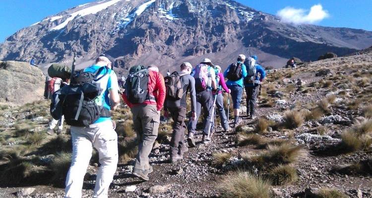 Una fila de trekkers con mochilas sube por una ladera rocosa hacia el Kilimanjaro.
