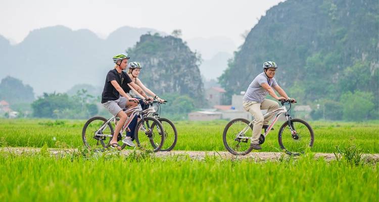 Travelers cycle on mountain bikes through lush rice paddies with karst peaks in the distance.