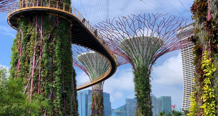 Des structures Supertree futuristes et une passerelle surélevée s'élèvent au-dessus de jardins verticaux aux Gardens by the Bay de Singapour.